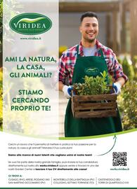Volantino Viridea Pagina 16