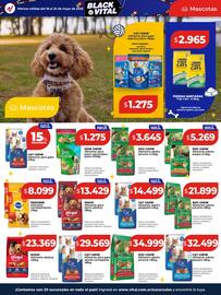 Catálogo Supermayorista Vital semana 21 Página 29