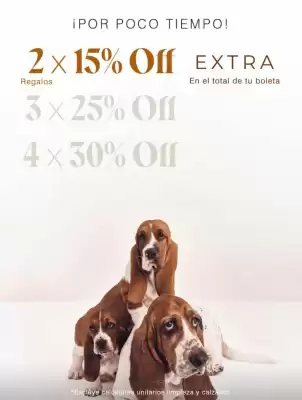 Catálogo Hush Puppies (válido hasta 31-05)