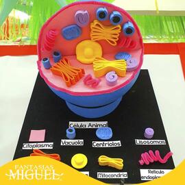 Catálogo Fantasías Miguel Página 5