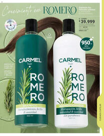 Catálogo Carmel Página 353