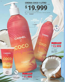 Catálogo Carmel Página 355