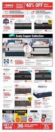The Brick flyer Page 15