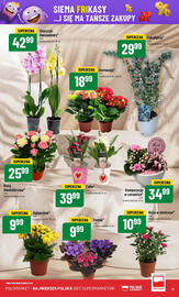 Polomarket gazetka tydzień 21 Strona 11