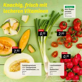 KONSUM Prospekt woche 21 Seite 7