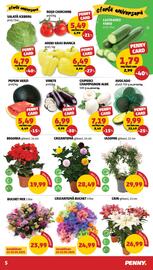 Catalog Penny săptămâna 21 Pagină 5