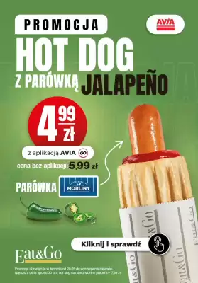 AVIA Stacje Paliw gazetka (ważność do 1-07)
