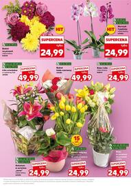 Kaufland gazetka tydzień 21 Strona 5