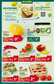 Billa Flugblatt woche 21 Seite 8