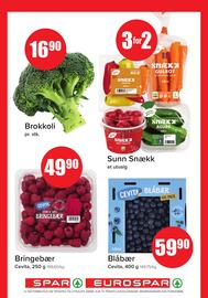 MaxiMat Svinesund Kundeavis Side 9