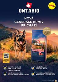 Super Zoo leták Strana 19