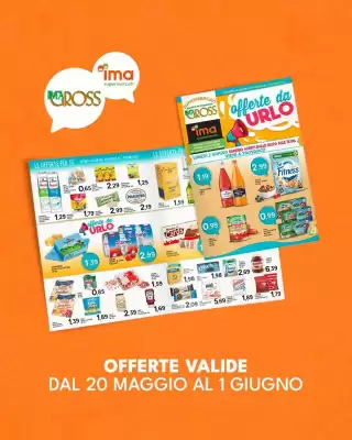 Volantino Imagross