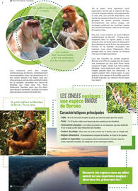 Catalogue VillaVerde page 102