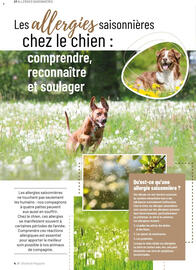 Catalogue VillaVerde page 108