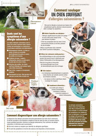 Catalogue VillaVerde page 109