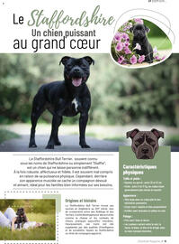 Catalogue VillaVerde page 11