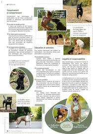 Catalogue VillaVerde page 12