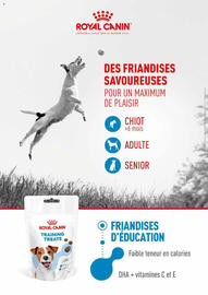 Catalogue VillaVerde page 125