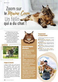 Catalogue VillaVerde page 132