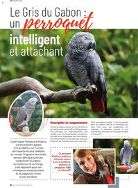 Catalogue VillaVerde page 16