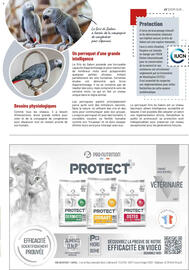 Catalogue VillaVerde page 17