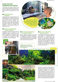 Catalogue VillaVerde page 41