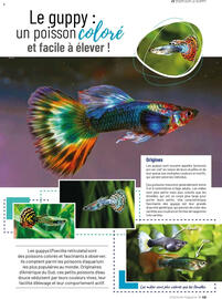 Catalogue VillaVerde page 43