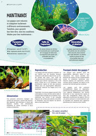 Catalogue VillaVerde page 44