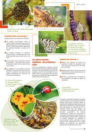 Catalogue VillaVerde page 47