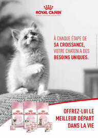 Catalogue VillaVerde page 52