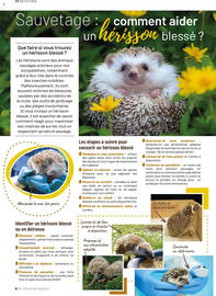 Catalogue VillaVerde page 6