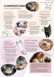 Catalogue VillaVerde page 61
