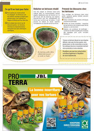 Catalogue VillaVerde page 7