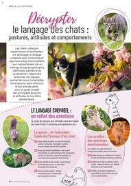 Catalogue VillaVerde page 8