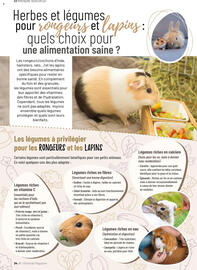 Catalogue VillaVerde page 86