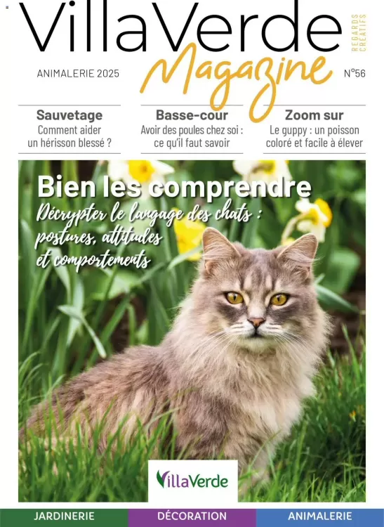 Catalogue VillaVerde (valable jusqu'au 1-01)