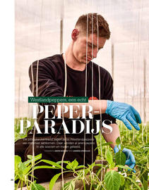 Sligro-M folder Pagina 20
