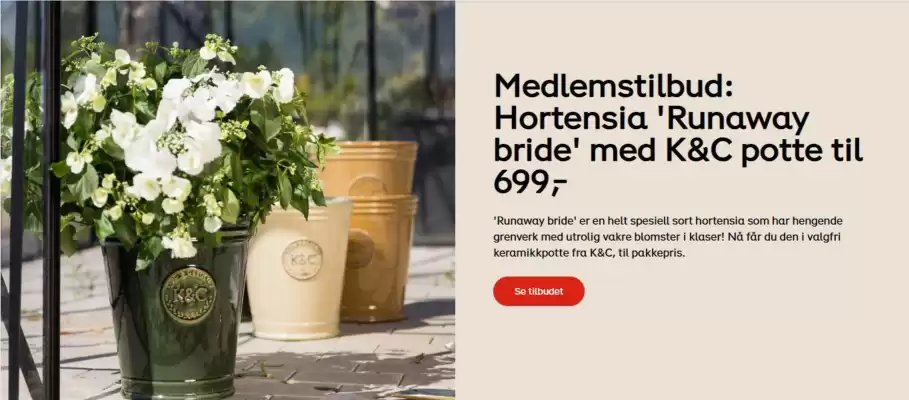 Plantasjen Kundeavis (gyldig til 24-05)