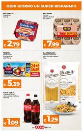Volantino Ipercoop Radenza Pagina 4