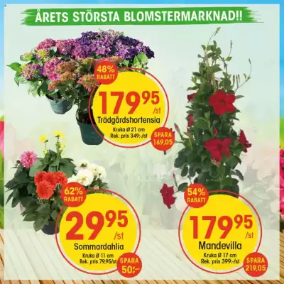 EKO reklamblad