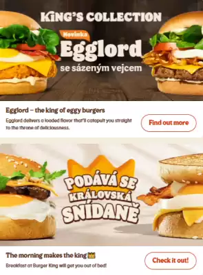 Burger King leták (platné do 2-06)