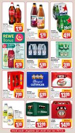 REWE PETZ Prospekt woche 21 Seite 16