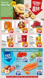REWE PETZ Prospekt woche 21 Seite 6