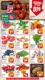 REWE PETZ Prospekt woche 21 Seite 7
