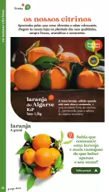 Folheto Pingo Doce | Fruta e Legumes Página 20
