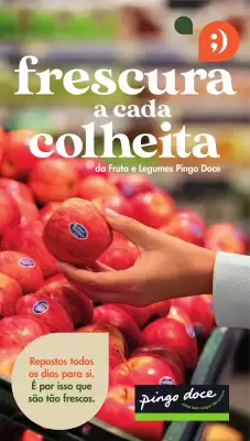 Folheto Pingo Doce (válido até 1-01)