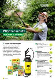 BayWa Flugblatt Seite 4