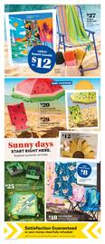 Giant Tiger flyer Page 11