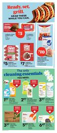 Giant Tiger flyer Page 3
