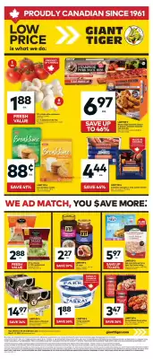 Giant Tiger flyer (valid until 11-06)